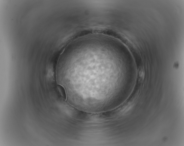 X0000092111252200709191321