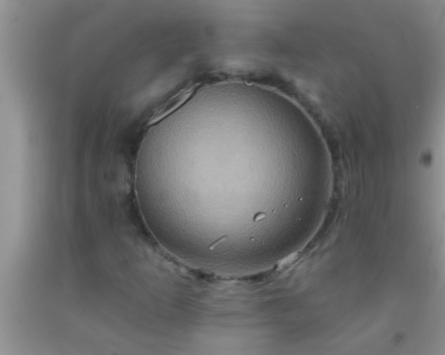 X0000092111253200709191321