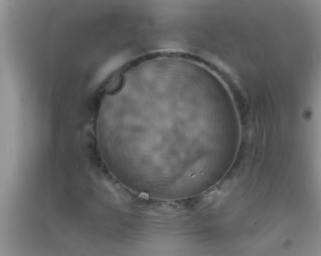 X0000092111255200709191321