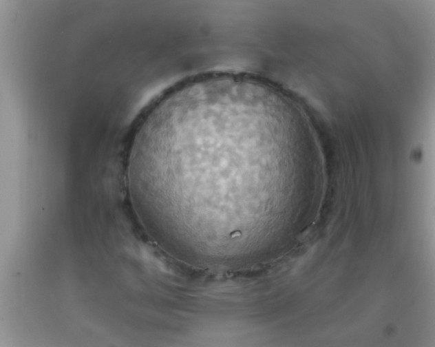 X0000092111256200709191321