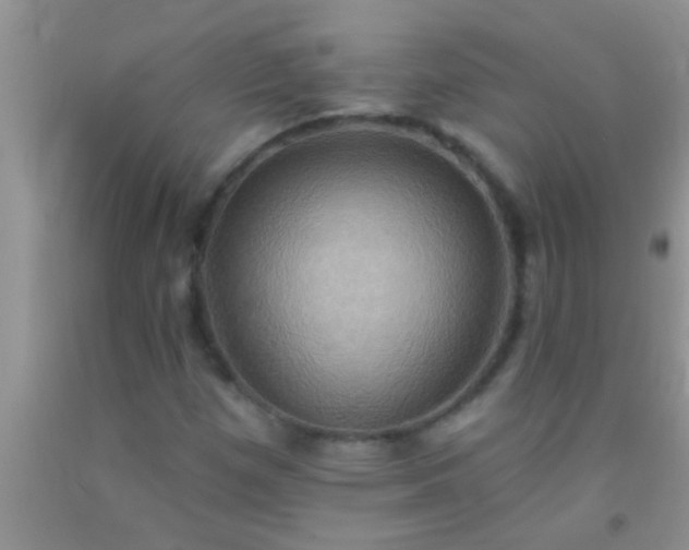 X0000092111257200709191321