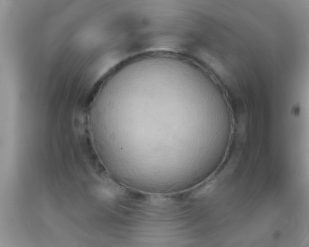 X0000092111258200709191321