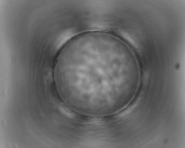 X0000092111259200709191321