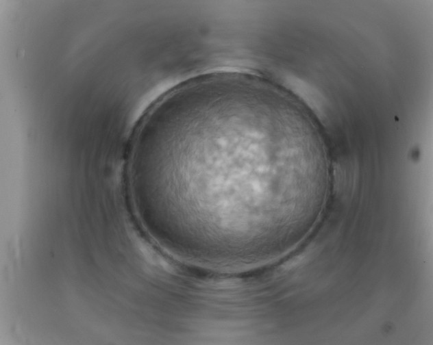 X0000092111260200709191321