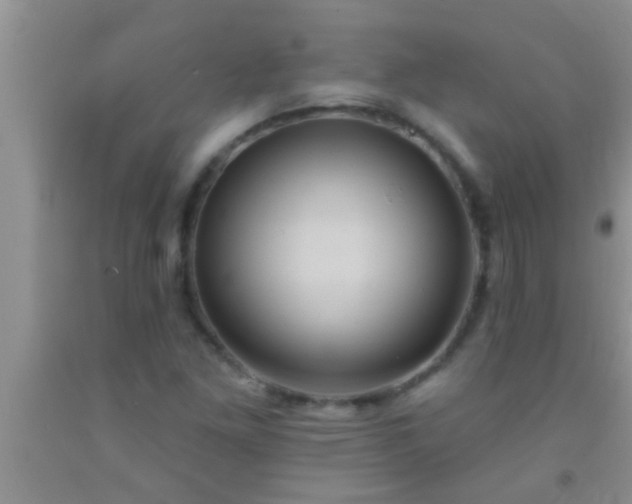 X0000092111261200709191321