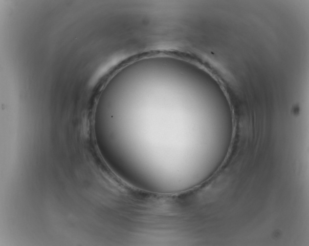 X0000092111262200709191321