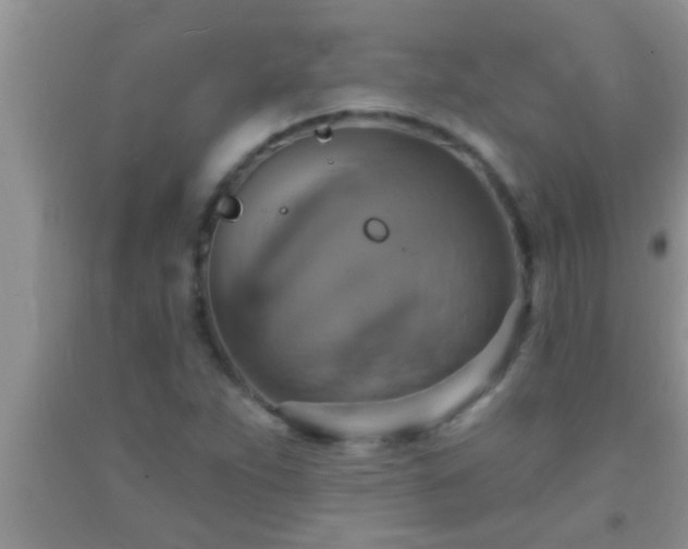 X0000092111263200709191321