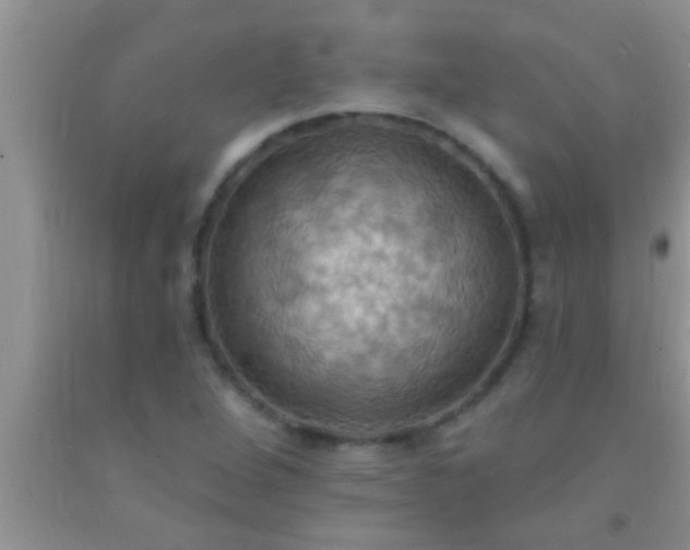 X0000092111264200709191321