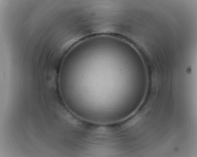 X0000092111265200709191321