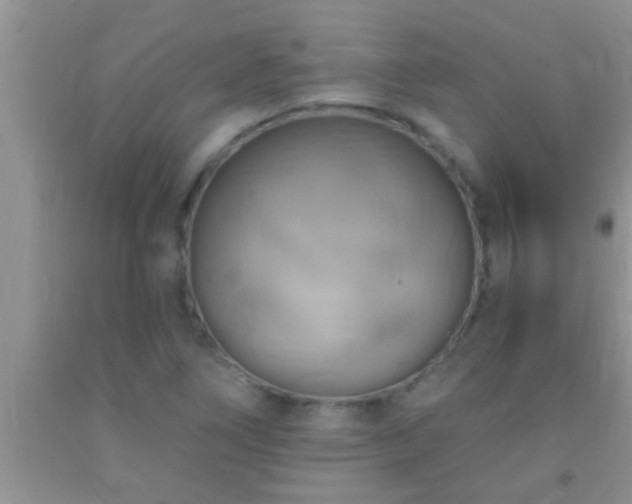 X0000092111266200709191321