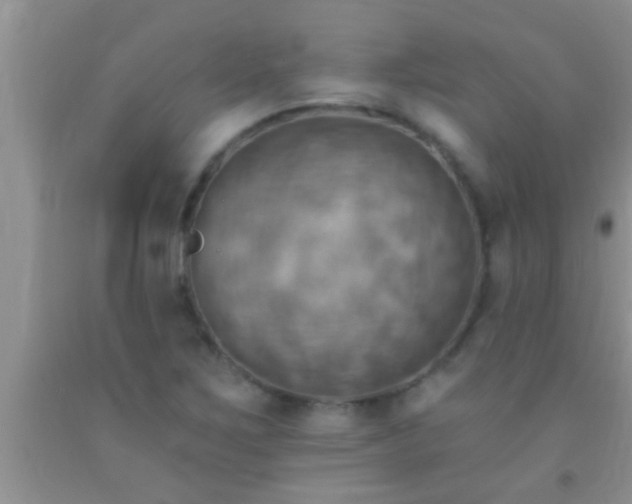 X0000092111267200709191321