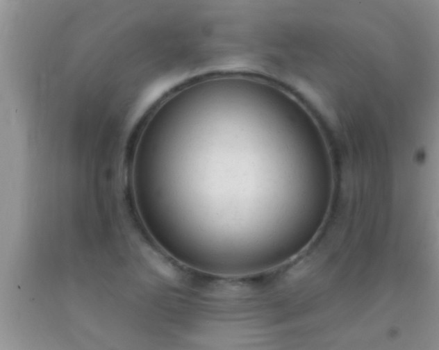 X0000092111270200709191320