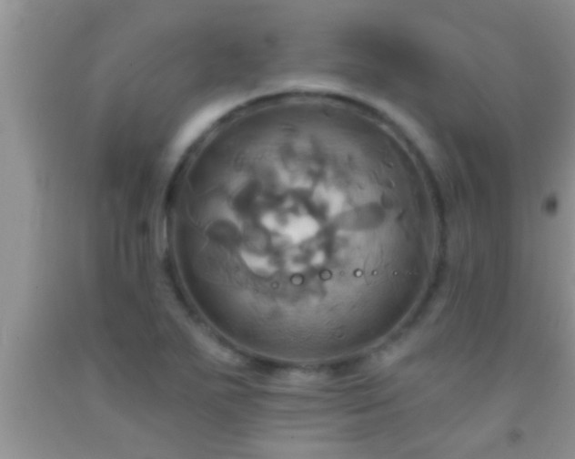 X0000092111271200709191320