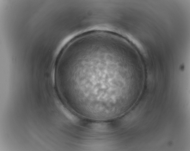 X0000092111272200709191320