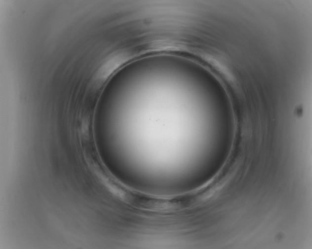 X0000092111273200709191320