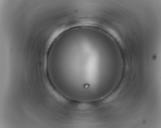 X0000092111275200709191320