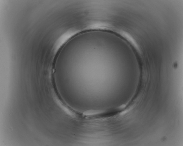 X0000092111277200709191320