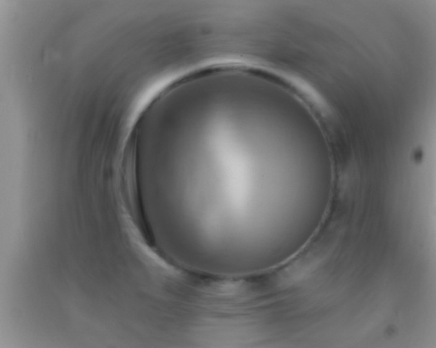 X0000092111279200709191320