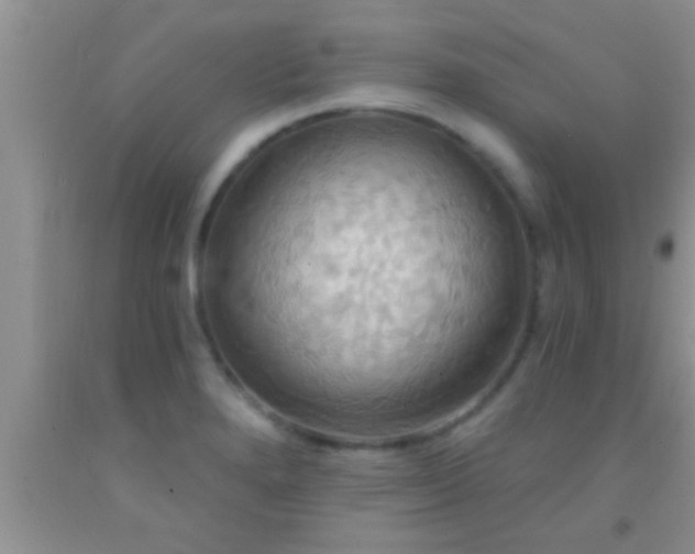 X0000092111280200709191320