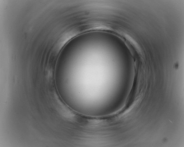 X0000092111281200709191320