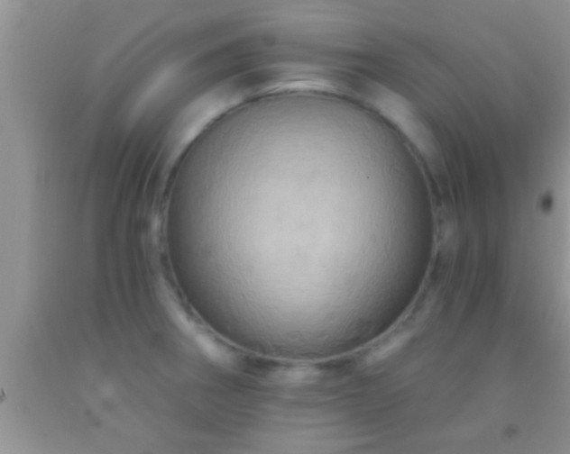 X0000092111282200709191320