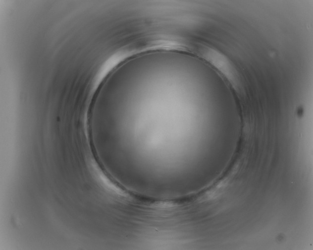 X0000092111283200709191320