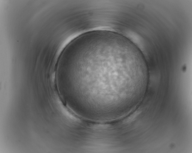 X0000092111284200709191320