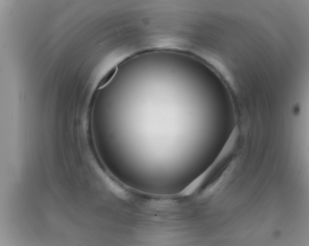 X0000092111285200709191320