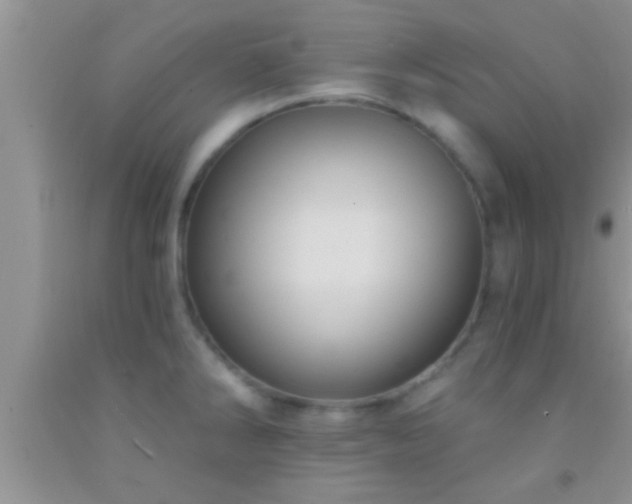 X0000092111286200709191320