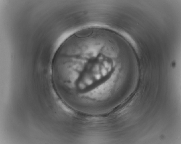 X0000092111287200709191320