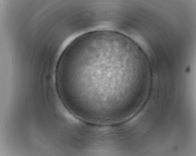 X0000092111288200709191320