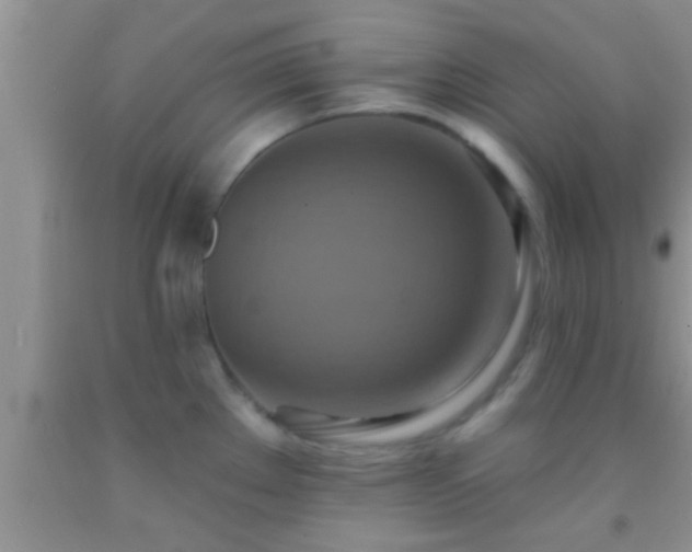 X0000092111289200709191320