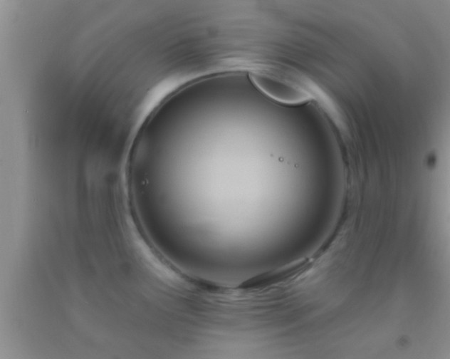 X0000092111291200709191320