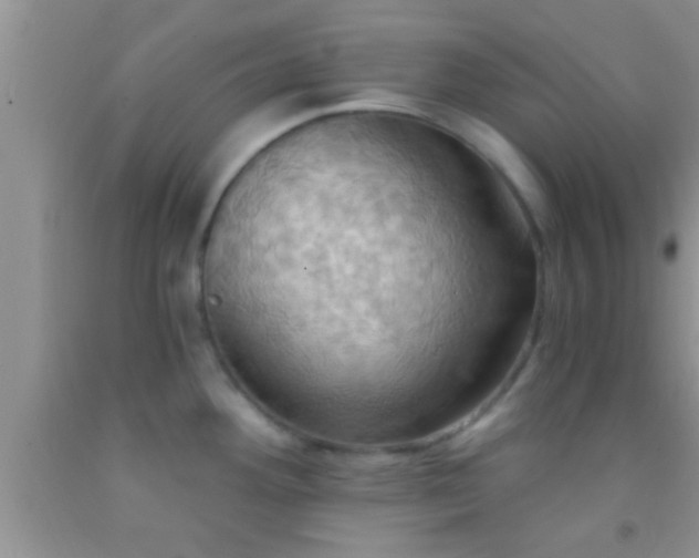 X0000092111292200709191320