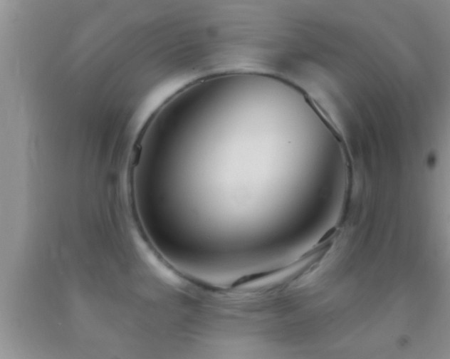 X0000092111293200709191320