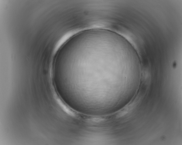 X0000092111294200709191320