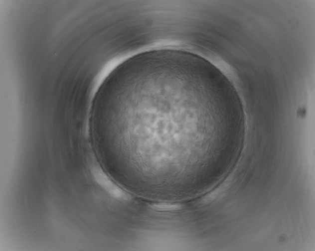 X0000092111296200709191320