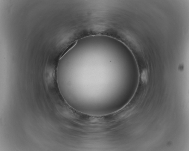 X0000092111299200709191320