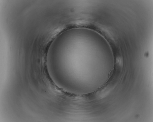 X0000092111300200709191320