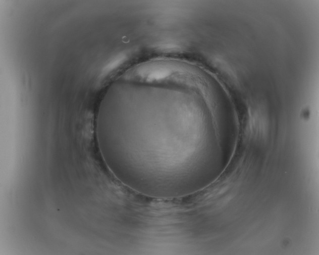 X0000092111301200709191320