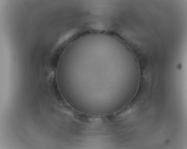 X0000092111302200709191320