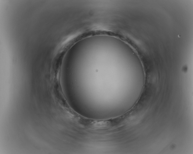 X0000092111303200709191320