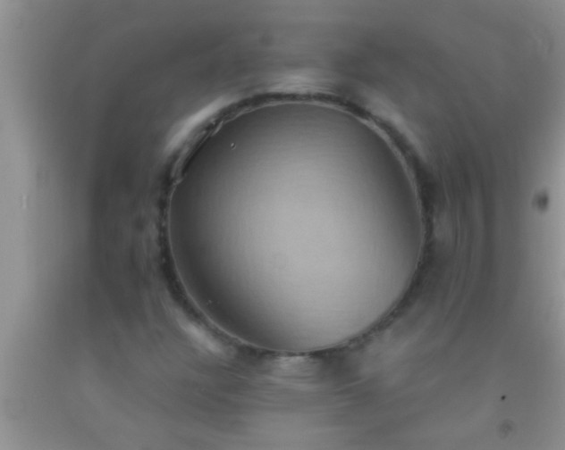 X0000092111304200709191320