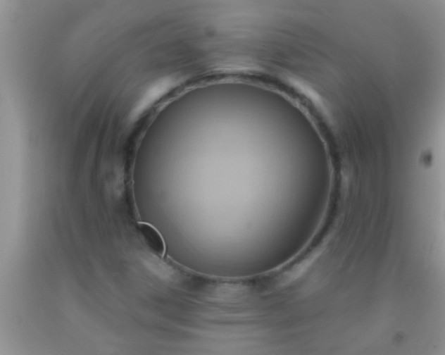 X0000092111306200709191320