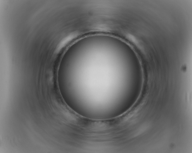 X0000092111307200709191320