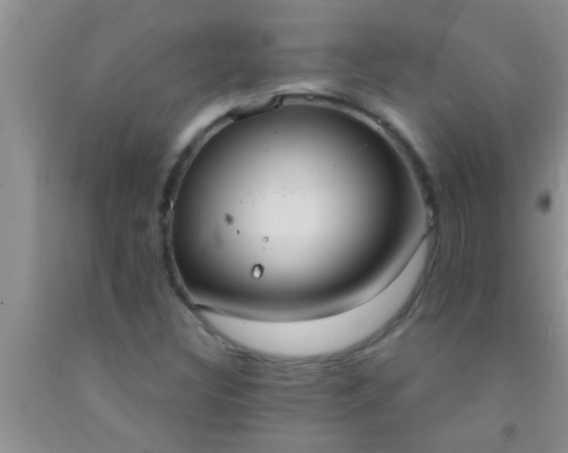 X0000092111308200709191320