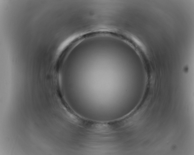 X0000092111310200709191320