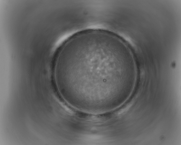 X0000092111311200709191320