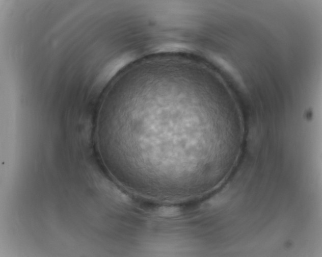 X0000092111313200709191320