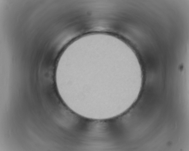 X0000092111314200709191320